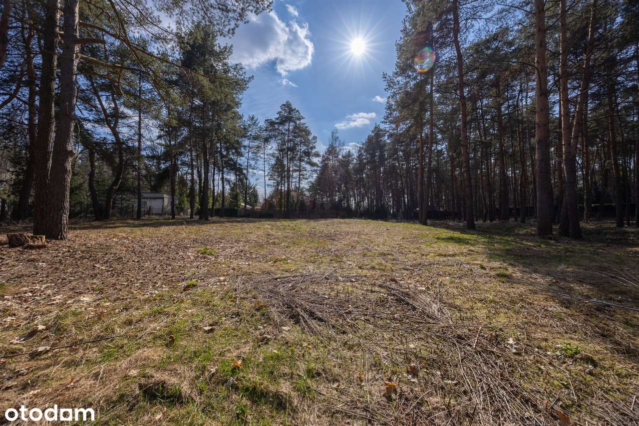 działka 3318m2 | zabudowa wolnostojąca | chylice-10