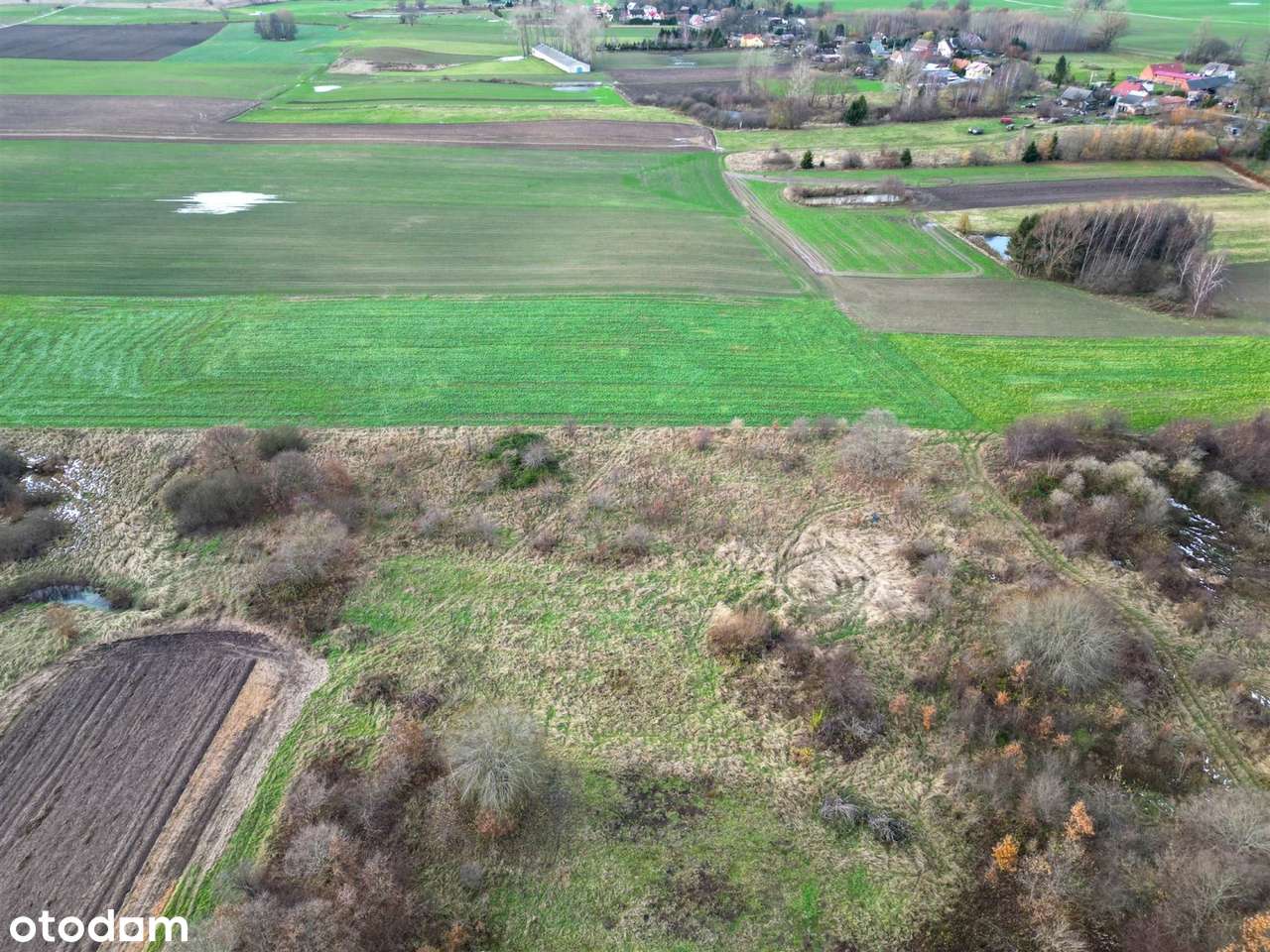 2 uzbrojone działki w otulinie lasu! - Pełny obrazek: 4/10