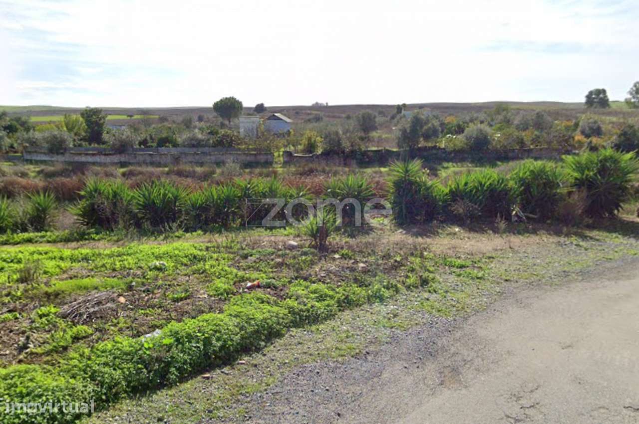 Terreno rustico com pomar - Grande imagem: 5/12