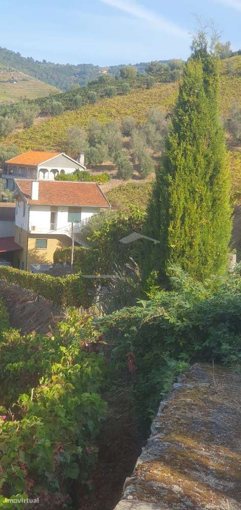 Moradia e Vinha com adega para venda - Grande imagem: 2/30