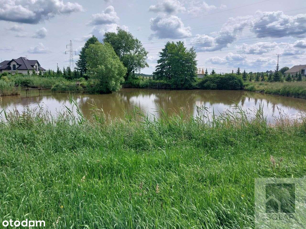 Działka, 7 915 m², Lisi Ogon - Pełny obrazek: 5/5