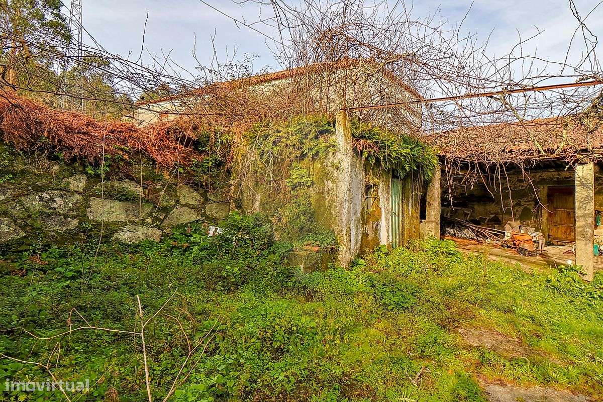 Quinta T4 para venda - Grande imagem: 5/24