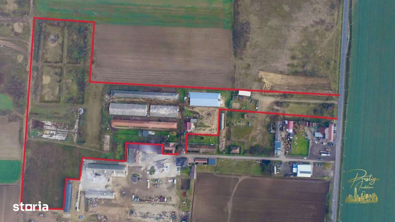 Domeniu - Centru de colectare, 7 ha de vanzare in Valea lui Mihai - Imagine principală: 1/19