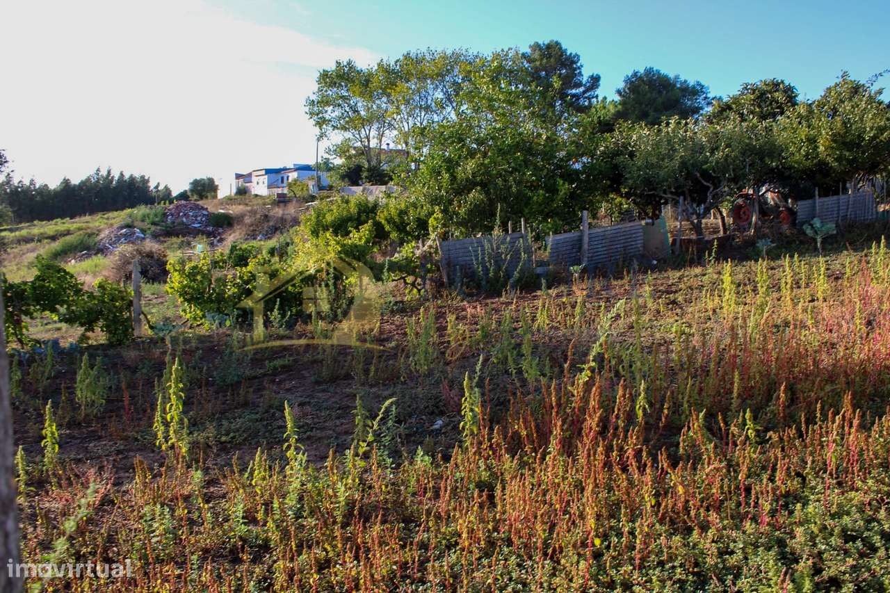 Terreno  Venda em Bombarral e Vale Covo,Bombarral-16