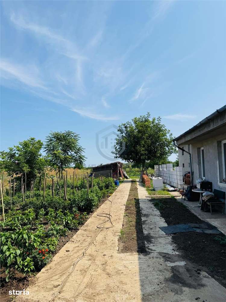 Hala 373 mp + teren in Santaul Mic - Imagine principală: 5/8