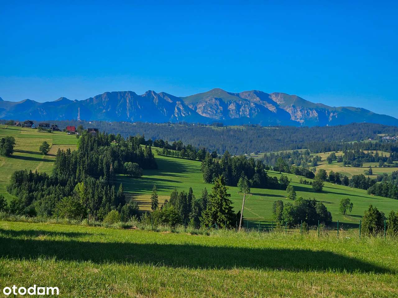 Działki z panoramą Tatr w Czerwiennem, 3 km. od Zębu! - Pełny obrazek: 5/8