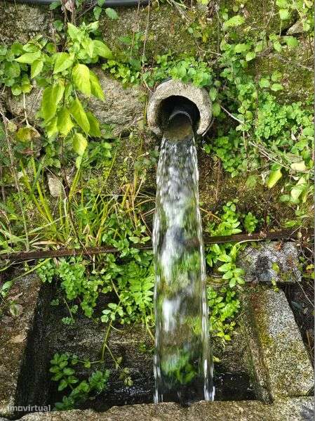 Vista sobre a lagoa / Terreno de 5 Ha / Com Ribeiro / Construtível - Grande imagem: 4/11