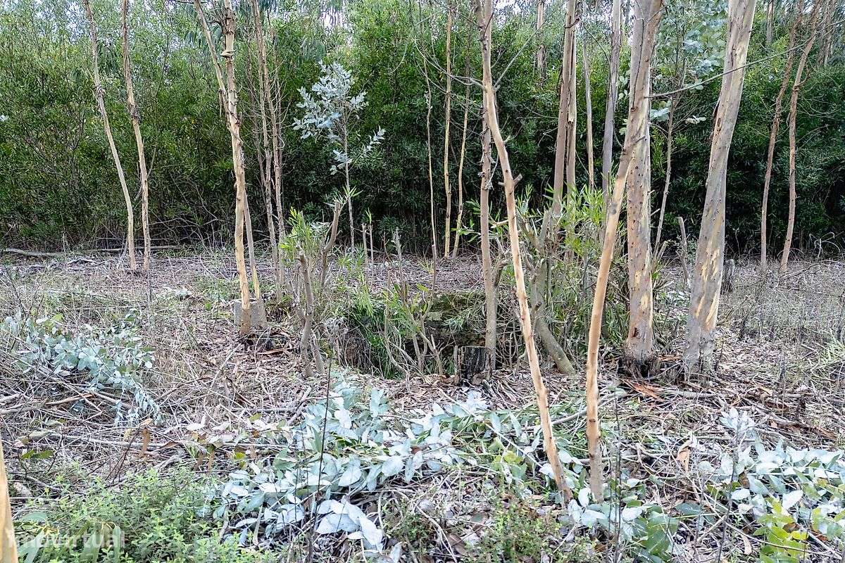 Terreno  para venda - Grande imagem: 2/5