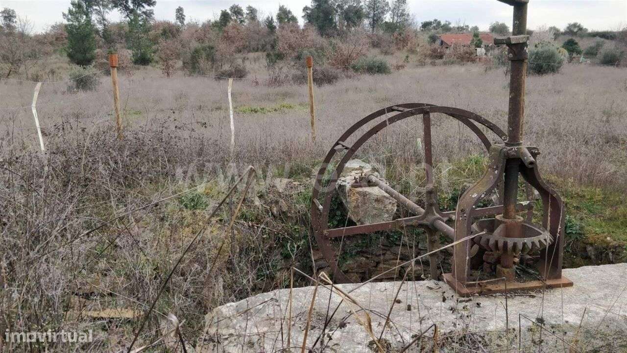 Terreno Rústico / Fundão, Vales Pêro Viseu - Grande imagem: 4/7