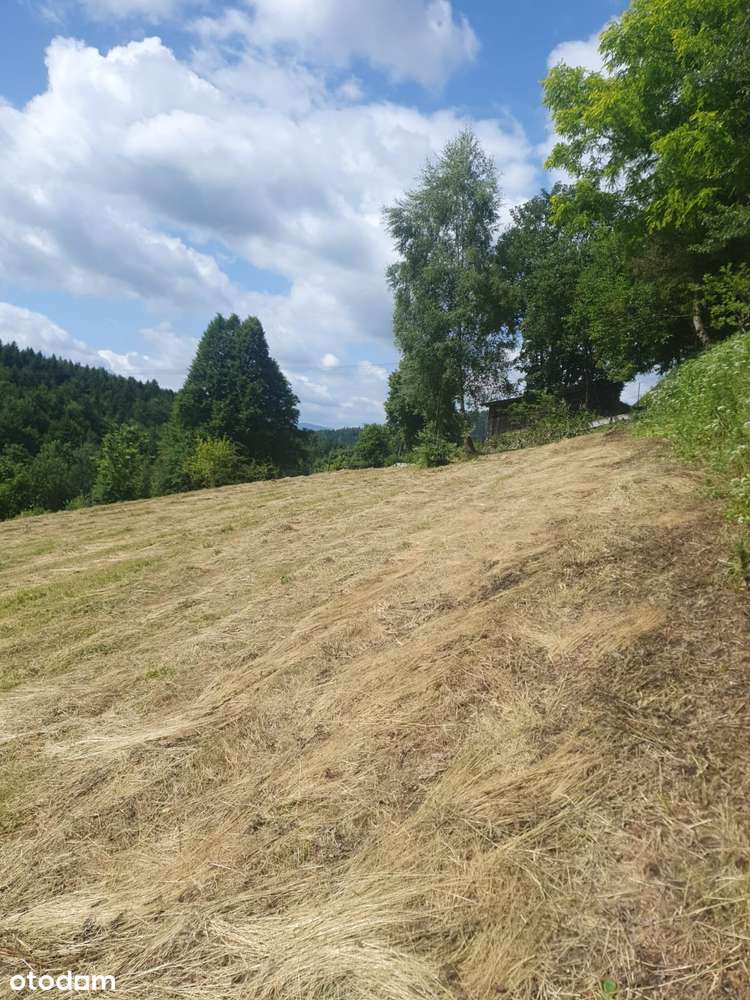 Działka budowlana 10,5 ara Żarnówka - Pełny obrazek: 5/10