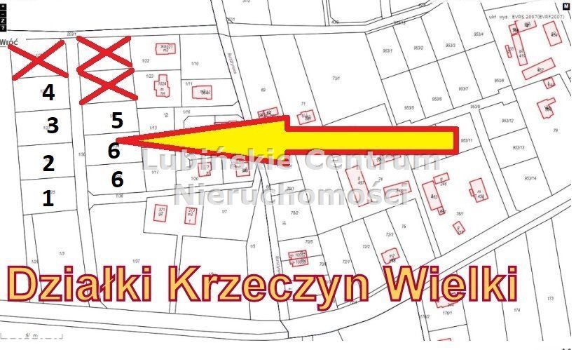 LCN- DZIAŁKA KRZECZYN WIELKI, GORZYCA