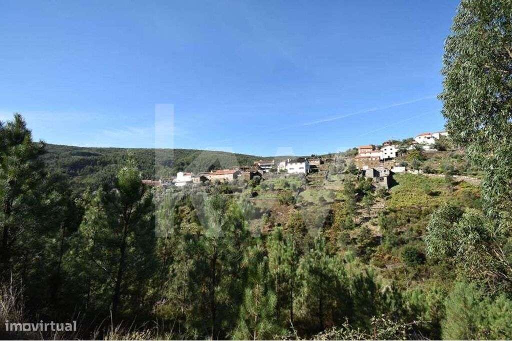 Moradia habitável com 3 quartos em Roda Cimeira - Góis - Grande imagem: 4/41