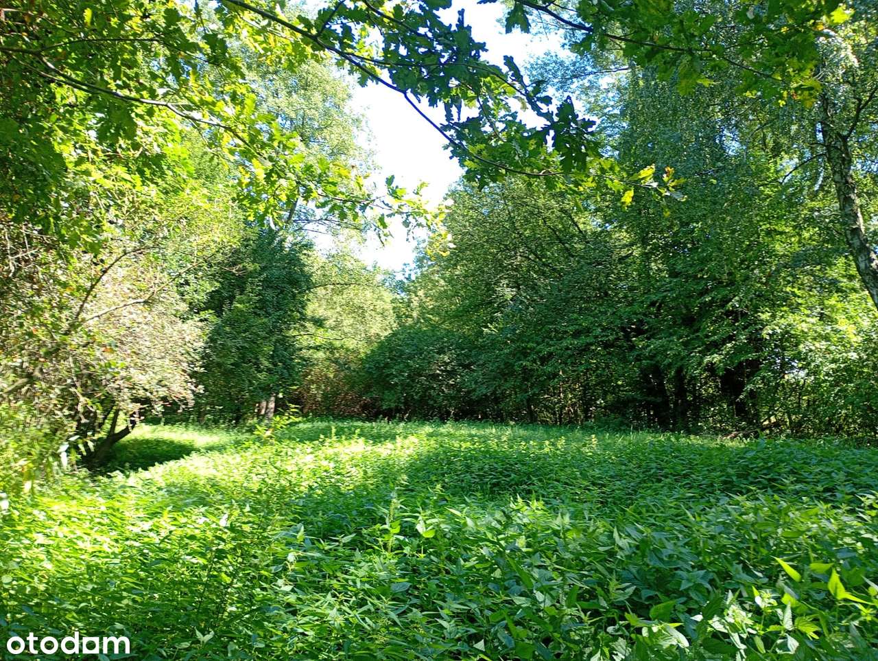 Atrakcyjna działka z warunkami zabudowy - Pełny obrazek: 4/9