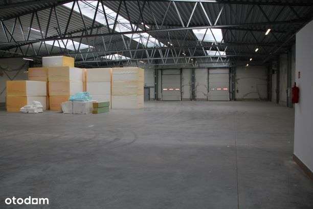 hala mag-prod. wys.5m - Pełny obrazek: 3/9