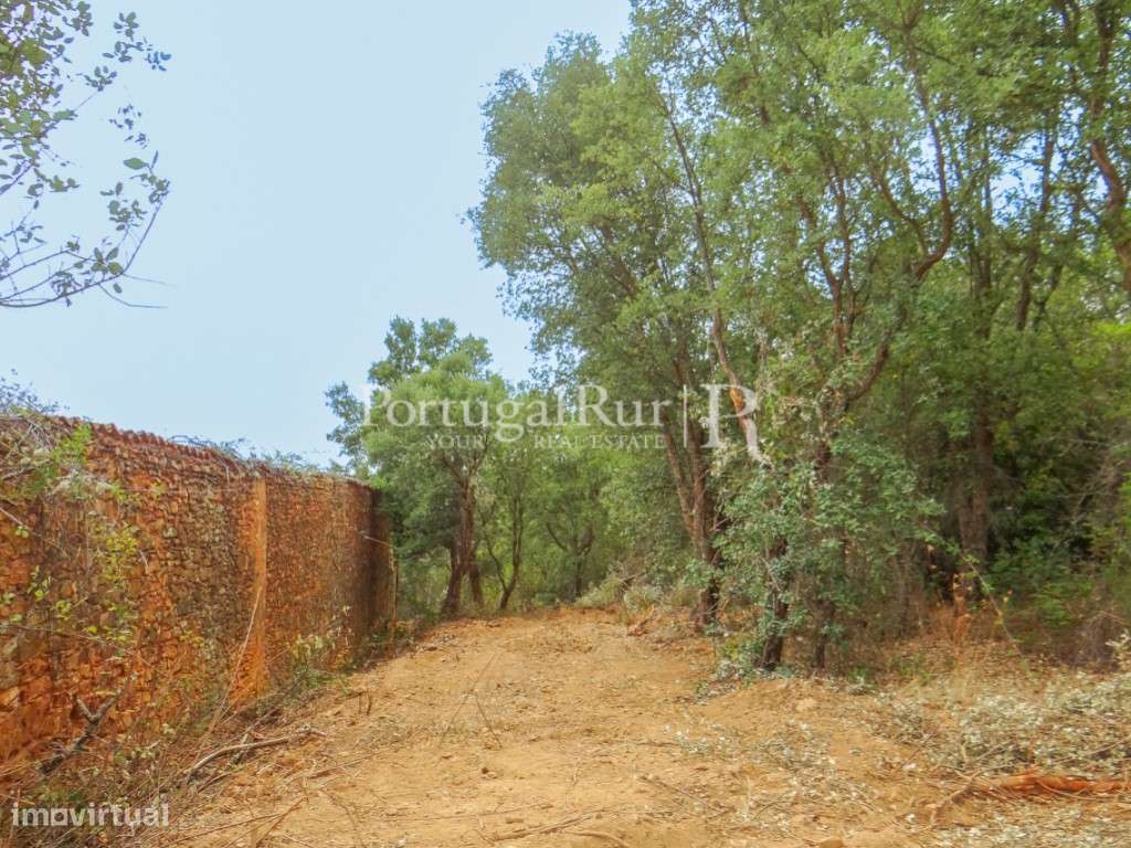 Quinta em Alegrete com ruinas - Grande imagem: 4/23