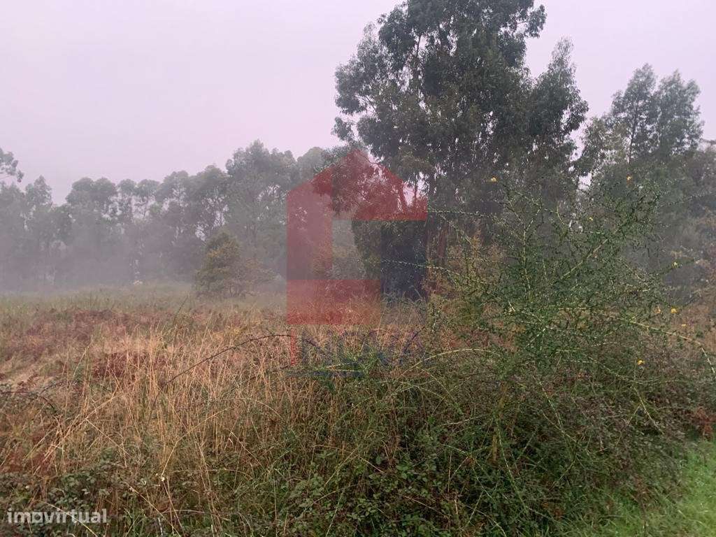 Terreno para construção em Covelas, Póvoa de Lanhoso - Grande imagem: 4/5