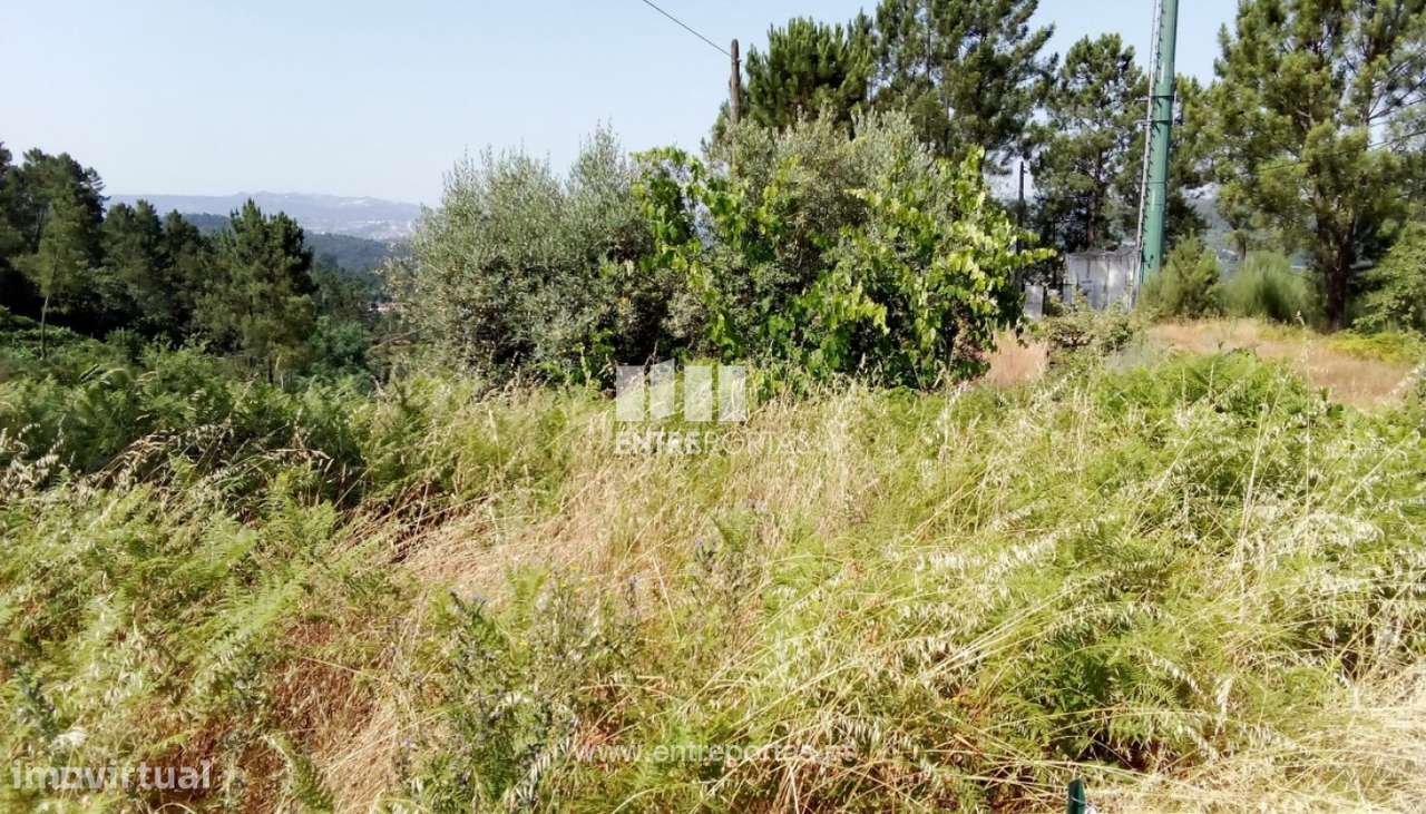Venda Terreno, Salvador do Monte, Amarante - Grande imagem: 2/17