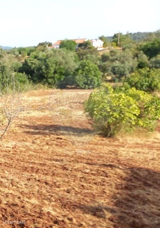 Terreno  para venda - Grande imagem: 2/7