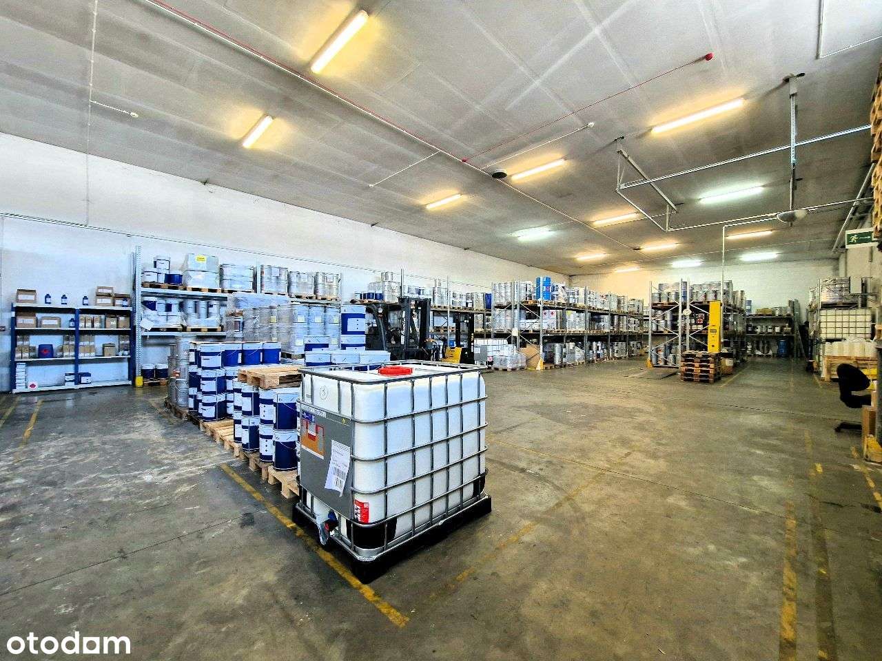 0k. 1000m2 hala/magazyn, biura-czytelna lokalizacja - Pełny obrazek: 4/13