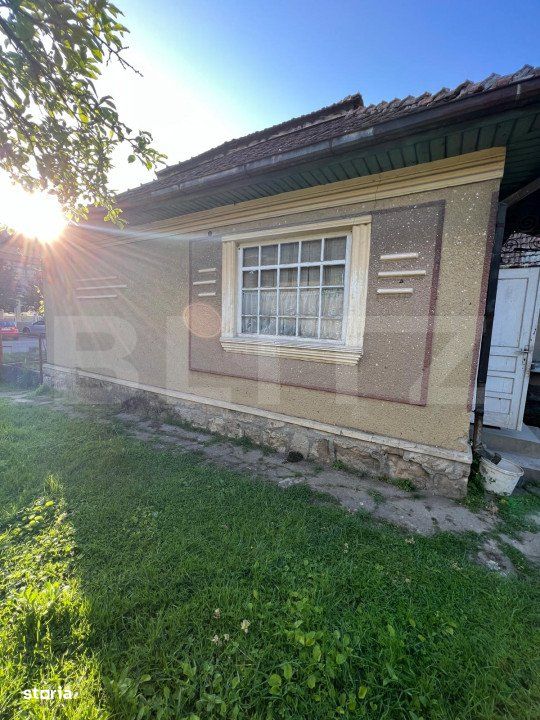 Casa de Vanzare in Livada, Potential Comercial