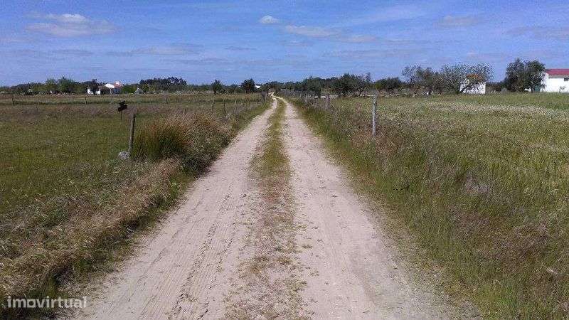 Quintinha com 0,6 Hectare - Grande imagem: 2/6