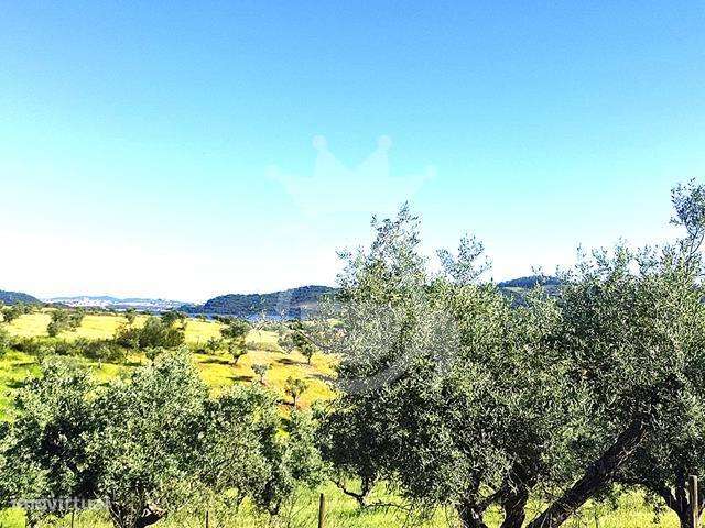 Terreno com vista Lago Alqueva - Grande imagem: 2/8