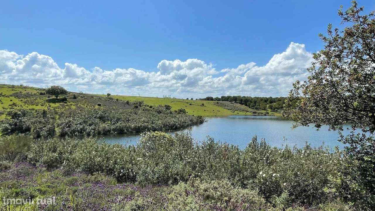 Terreno na Margem Alqueva - Grande imagem: 5/26
