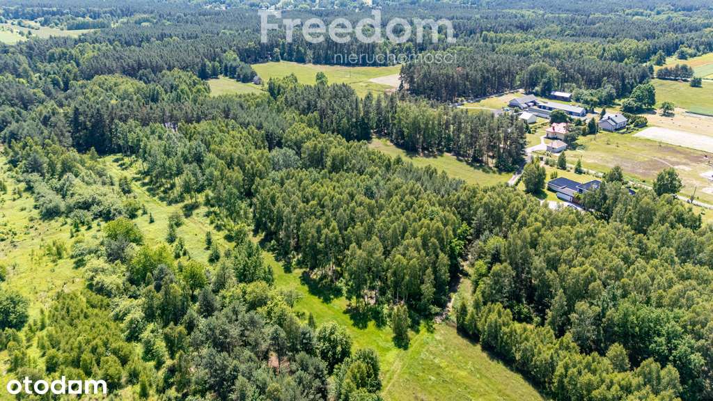 Zielona przystań pod Warszawą – działki w Osiecku - Pełny obrazek: 4/19