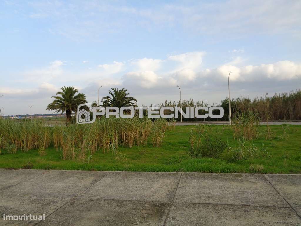 Lote de Terreno - Construção em Altura - Grande imagem: 5/5