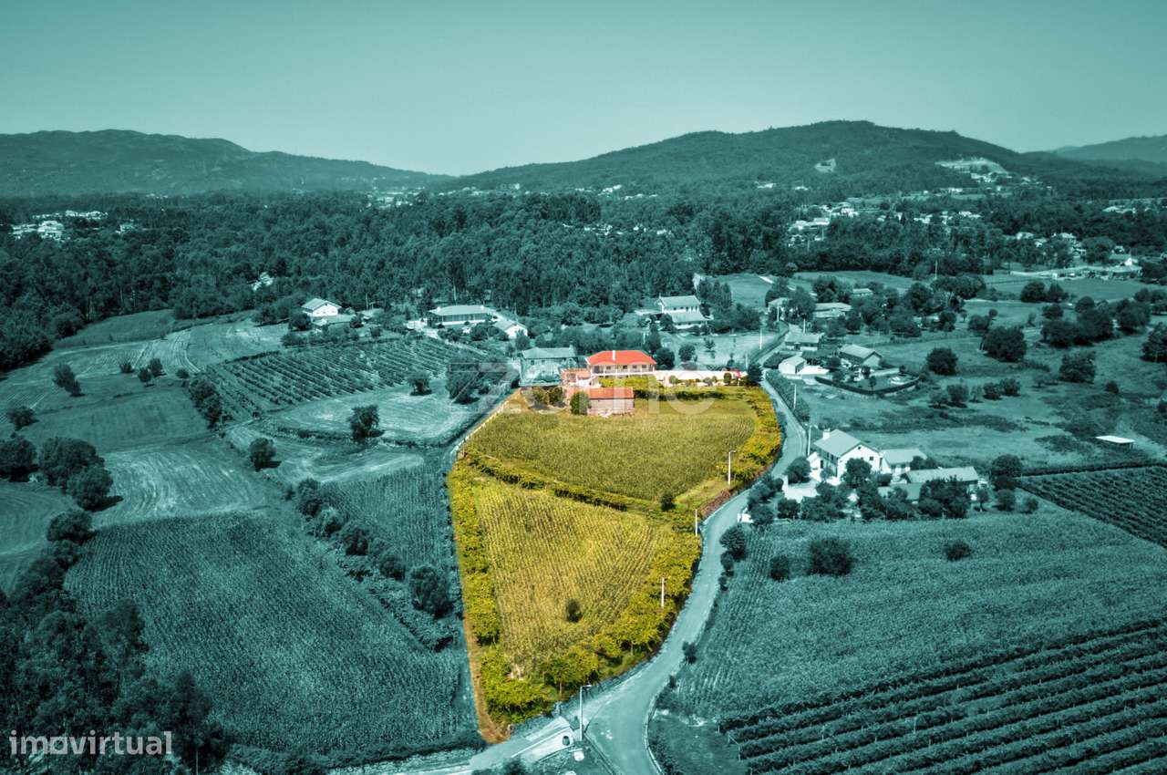 Terreno Rustico com 9000m2 colm viabilidade construtiva - Grande imagem: 2/13