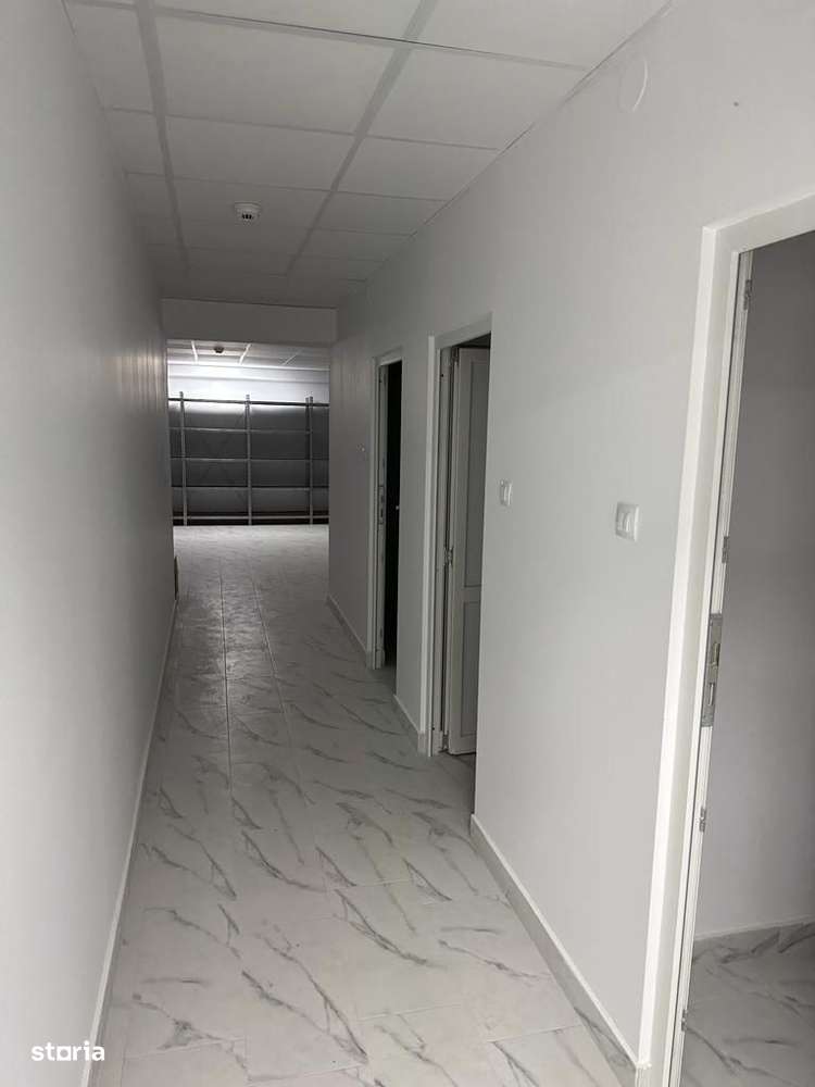 Spatiu comercial de vanzare - Centru - Bd. Anastasie Panu - Demisol - Imagine principală: 4/8