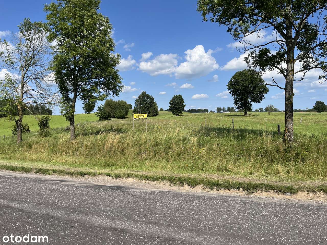 Działka 6444 m² z dostępem do mediów - Pełny obrazek: 5/6