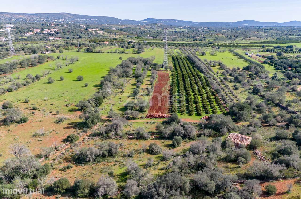 Moradia Isolada em S.B de Messines com terreno de 3840m2 - Grande imagem: 5/26