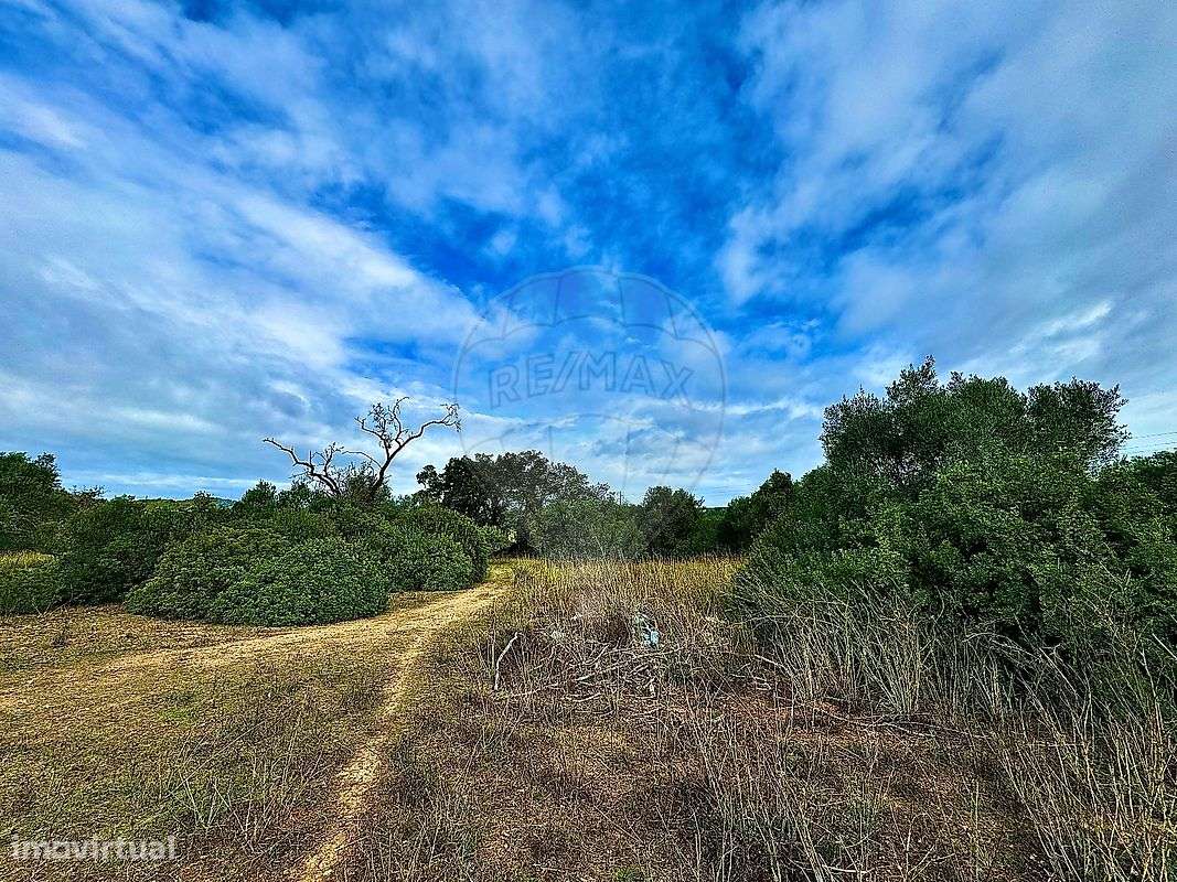 Terreno  para venda - Grande imagem: 4/5