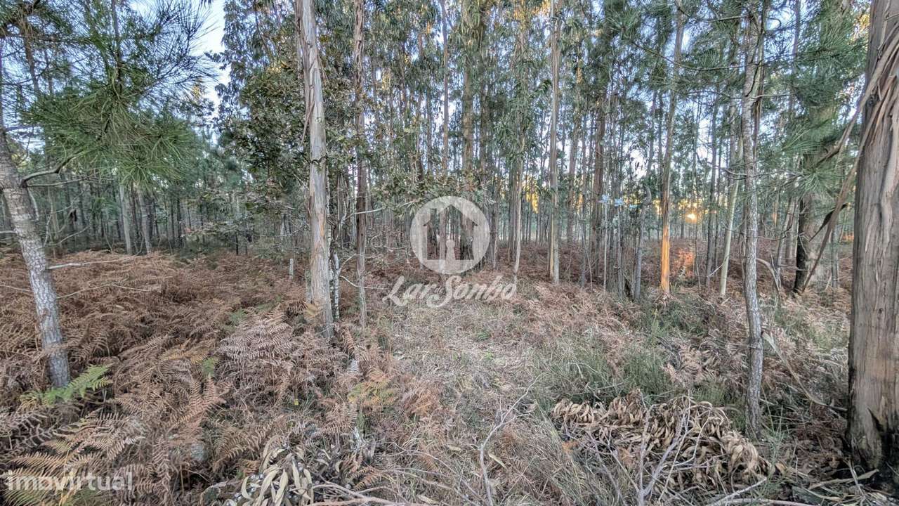 Terreno industrial com 4.177m2 em Laúndos - Grande imagem: 2/6