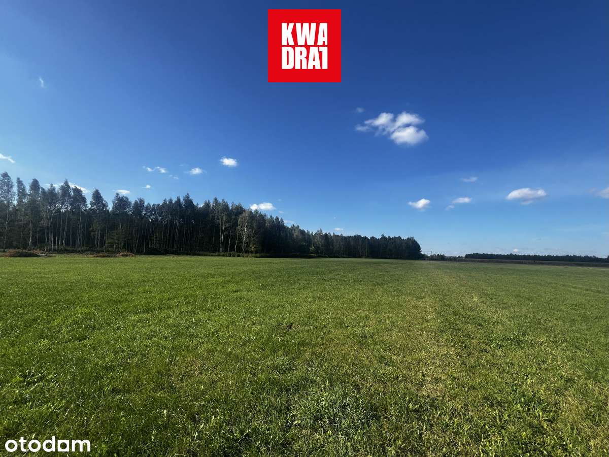 Lasomin 0,97 ha Siennica działka siedliskowa - Pełny obrazek: 4/9