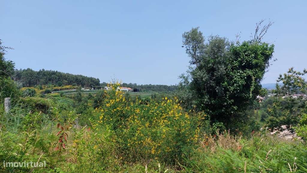 Quinta - Vila Verde - Grande imagem: 5/14