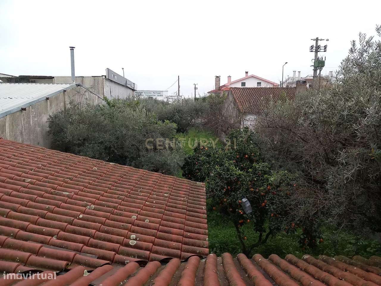 Terreno Urbano com 675 m2 em Castelo Branco - Grande imagem: 3/4