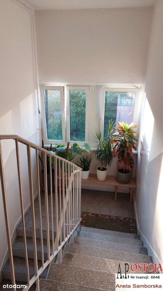 2 pok, Rozkład, ok. Sky Tower i AE, Komandorska!-9