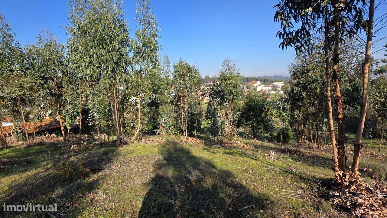Terreno em Soure, Coimbra - Oportunidade Única de Construção - Grande imagem: 4/16