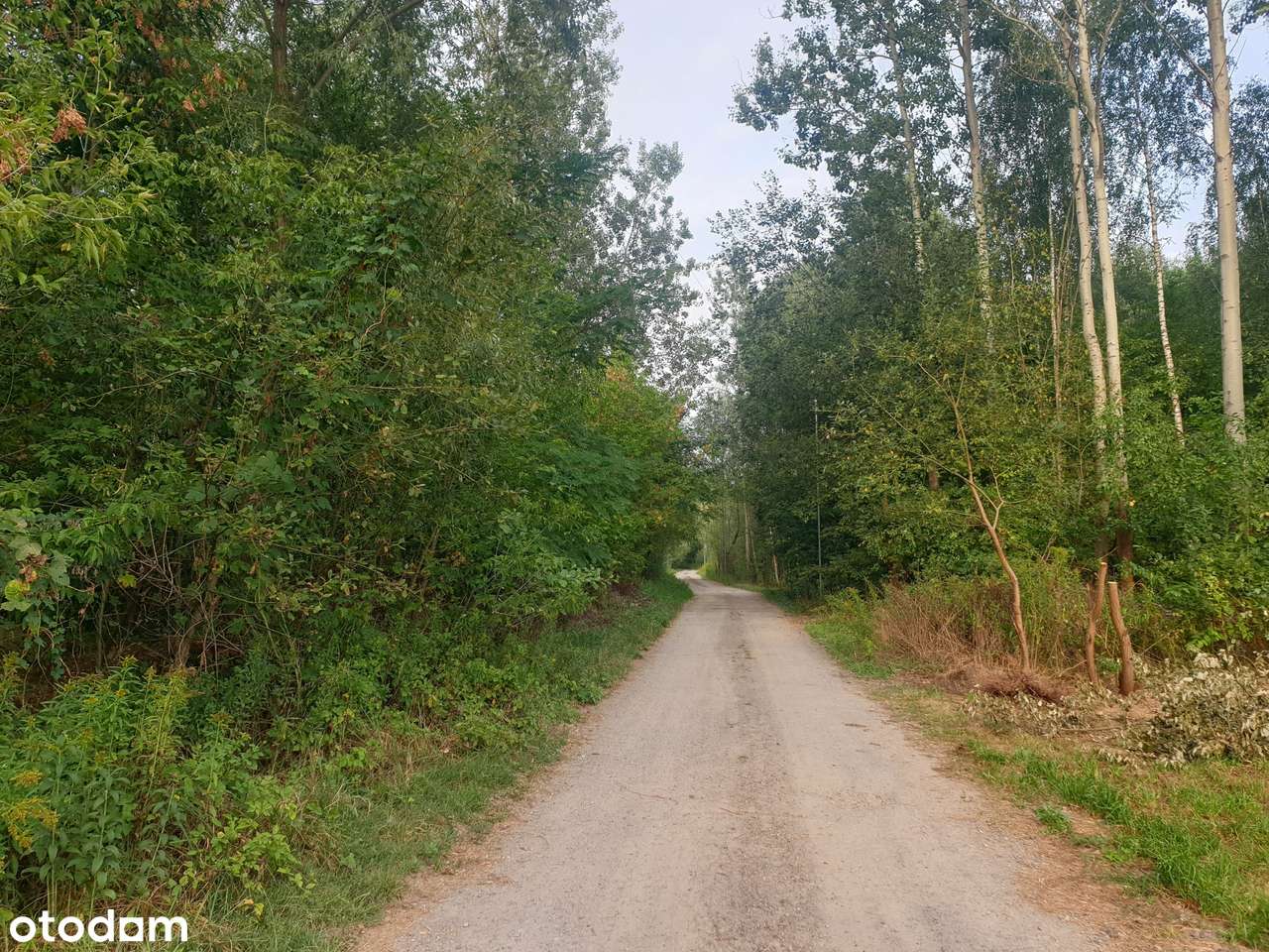 Otwock. Las, spokój, cisza. Wydane WZ. Wszystkie media. Nowe domy-12