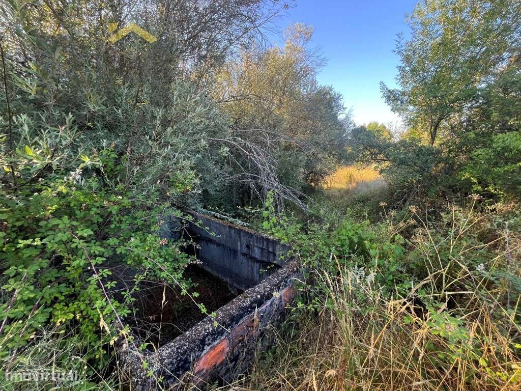 Terreno rustico com 9.480m2 para venda próximo ao Chão Da Vã! - Grande imagem: 5/16
