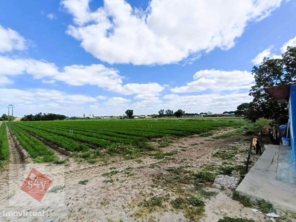 Quintinha com Moradia Térrea em Santo Isidro de Pegões!-12