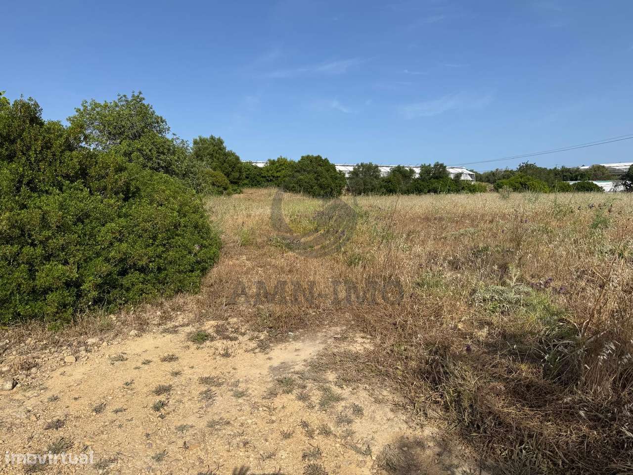 Quinta c/casas, eira e terreno misto – Chaveca, Faro-10