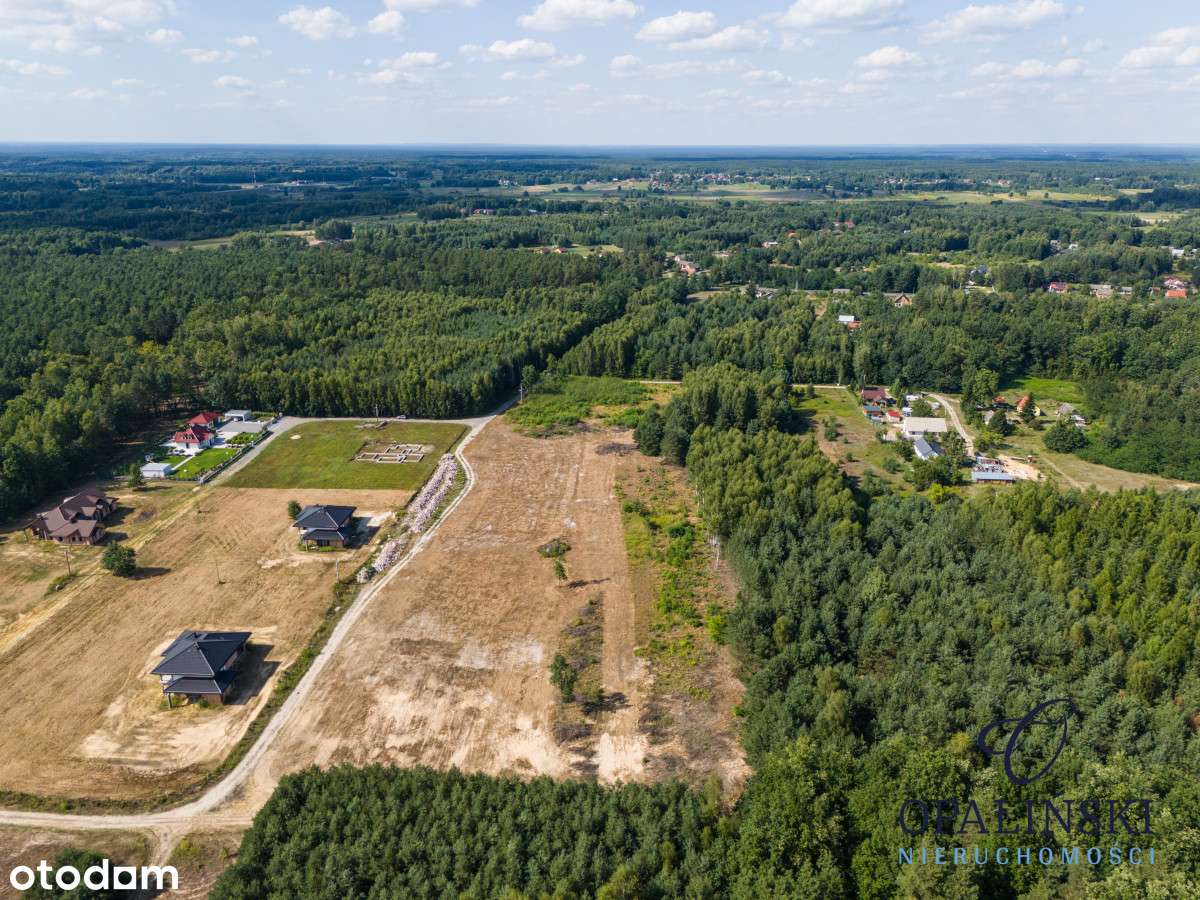 Otoczenie lasu | Cicha okolica | Mpzp | Inwestycja-8