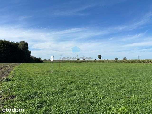 Grunt pod inwestycje Owieczki gm. Łubowo-6