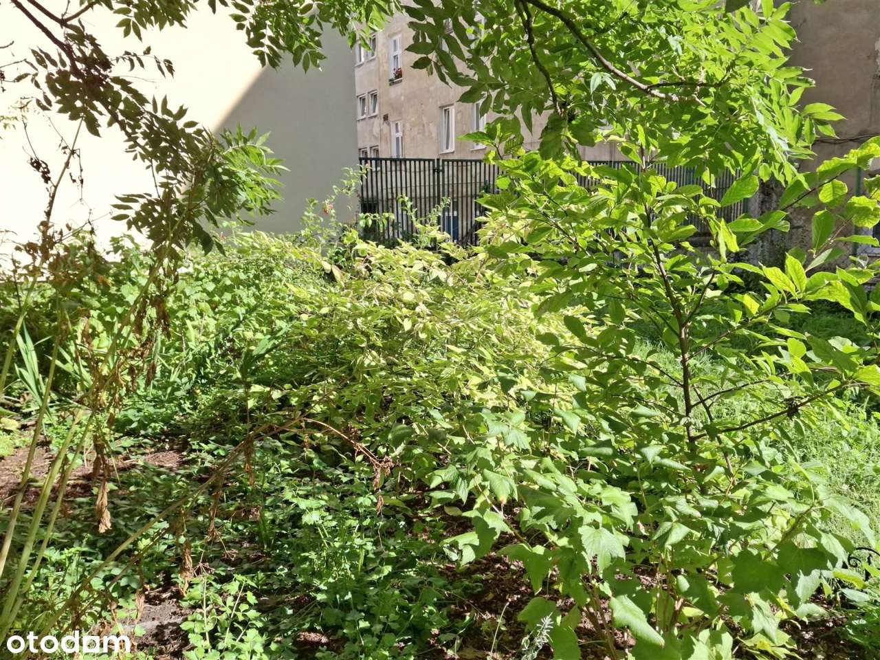 1 pok, 34,66 m2, ul. Bocheńska, Kazimierz.-16