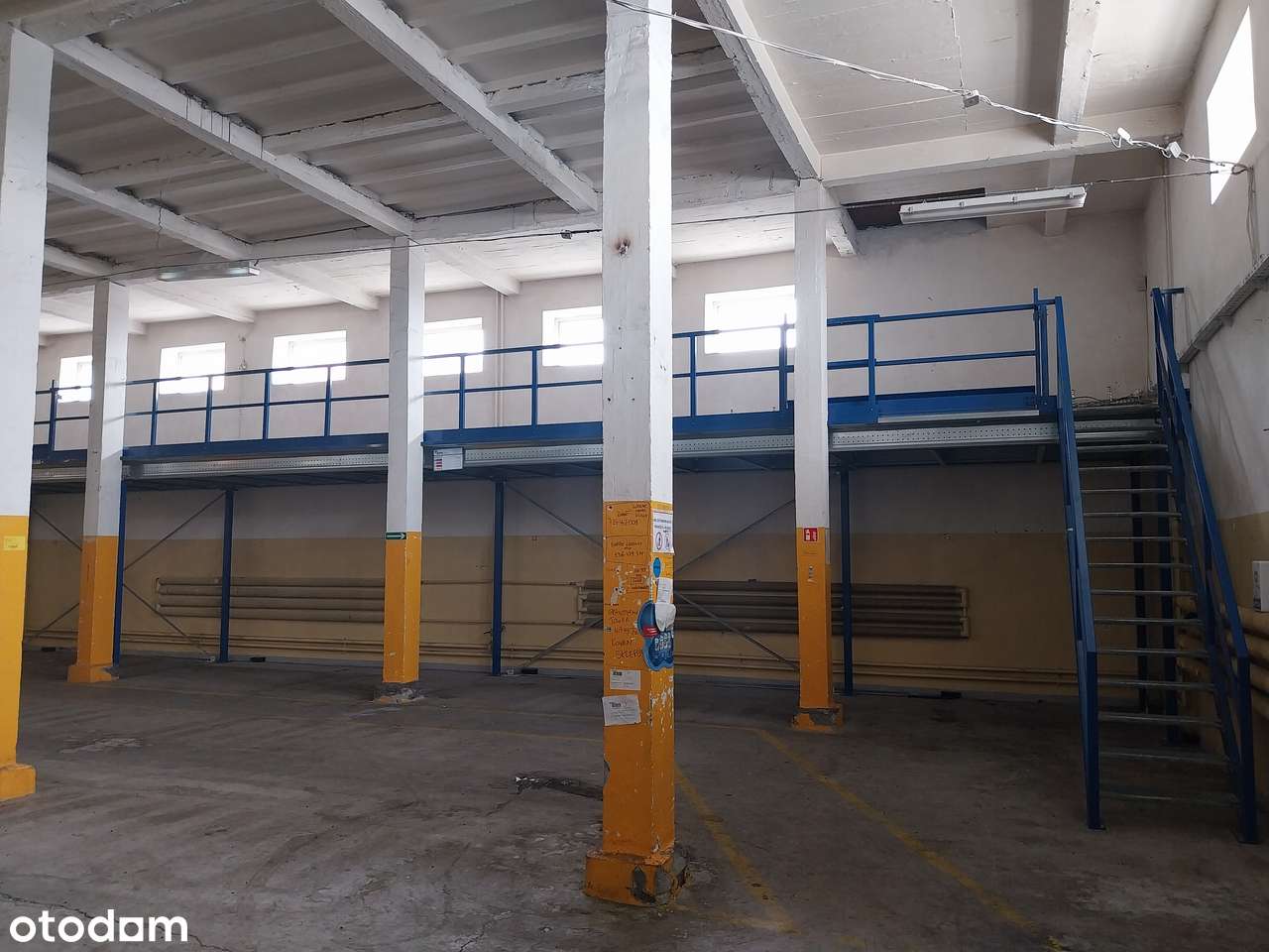 hala produkcyjno-magazynowa do wynajęcia - Pełny obrazek: 3/9