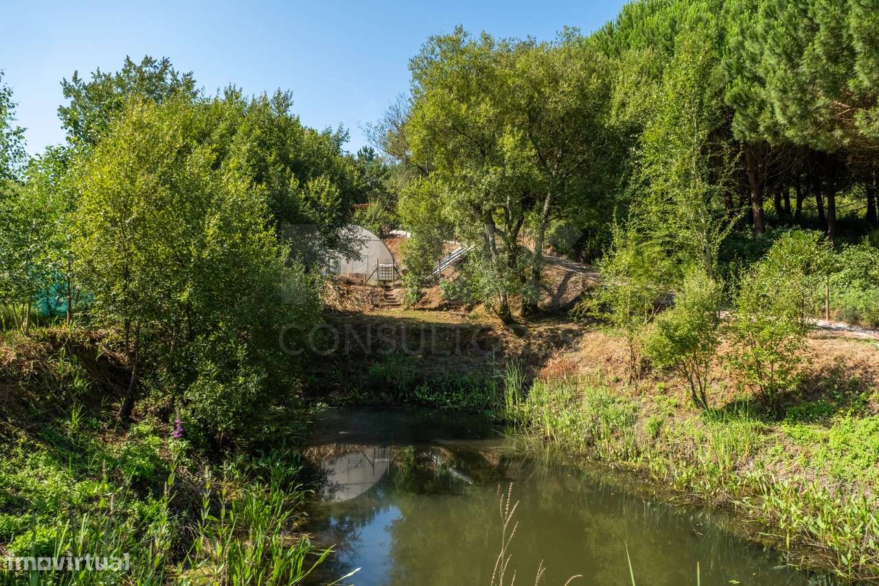 Terreno Agrícola na Fanadia | 16.100 m² de Potencial e Infraestrutu...-14