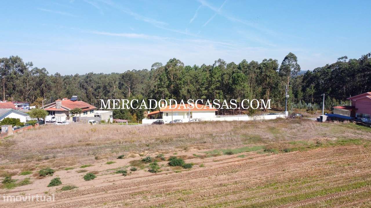 Terreno c/ 16,560m2 - São Miguel de Souto-4
